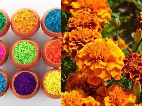 Herbal Holi Colours